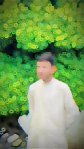 #Hashim Ali 5095#pleasetiktokteamviralvideo💯 #creatorsearchinsights