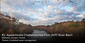 ACF River Basin - Alchetron, The Free Social Encyclopedia