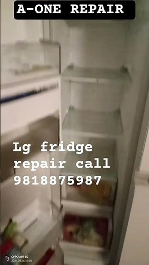 Lg fridge repair