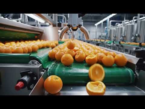 Inside The Orange Juice Factory – Full Production Process