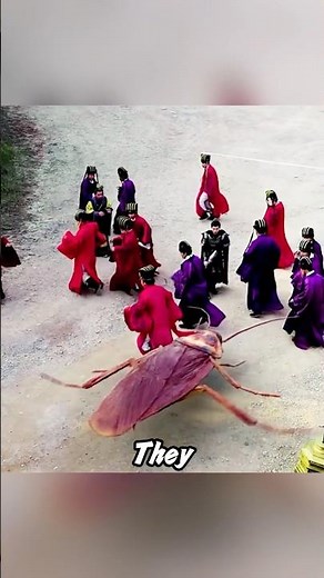 The cockroach broke into the world of the little human country. It is bigger than humans.#movie