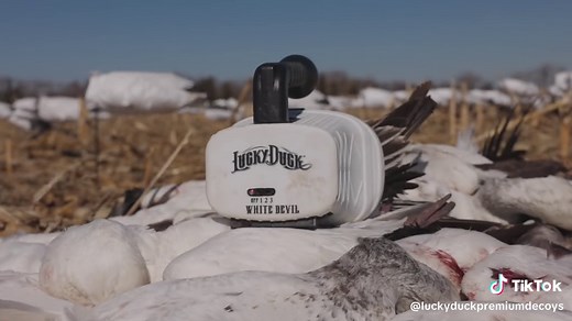 The Lucky Duck® White Devil takes electronic snow goose calls wireless. No more tripping over speaker cords, and no more limit to the number of speakers. Expanding on Lucky Duck’s killer reputation for sound and speaker quality with predator hunters, the White Devil also launches a new library of top-quality snow goose sounds, recorded with 32-bit recorders and professional condenser microphones. The 28 new Lucky Duck-exclusive snow goose sounds are categorized and named by the number of snows, 