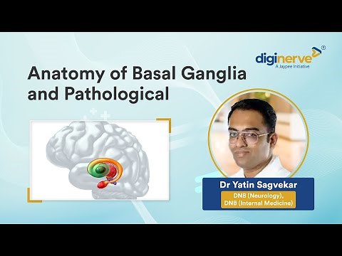 Understanding the Anatomy & Pathology of the Basal Ganglia | Dr Yatin Sagvekar