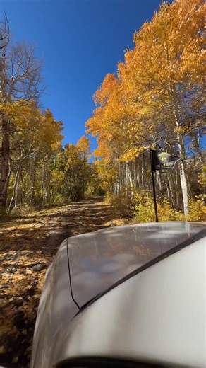 Mark Sweetser on Instagram: "A little mental health advice. Oil drain valve @fumotousa Tough Dog suspension @toughdog Tour Flex Heavy rear coils @toughdog Nitro Gear UCA’s @nitrogears BF K03 295/75/16 @bfgoodrichtires LP4 LED Lights Baja Amber @bajadesigns Squadron Sports Baja Amber @bajadesigns S2 SAE Light Pod Clear @bajadesigns S2 Sports Light Pod Baja Amber @bajadesigns S2 Sport Flush Mount LED Light Pod Baja Amber @bajadesigns LED Rock Lights Baja Amber @bajadesigns Switch Power Distributio