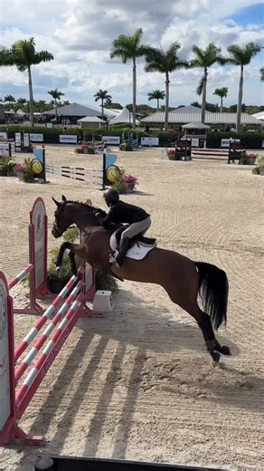 MARCHADOR CONSULTING | Mangalarga Marchador on Instagram: "Visitando Wellington International na cidade de Wellington Sul da Flórida o principal destino para o esporte equestre de elite, a comunidade e a cultura equestre na América do Norte. Como sede do renomado Winter Equestrian Festival (WEF), do Adequan® Global Dressage Festival (AGDF) e da série anual de competições equestres, onde recebe atletas internacionais de altíssimo nível, fãs apaixonados pelos cavalos e pelo esporte na temporada de