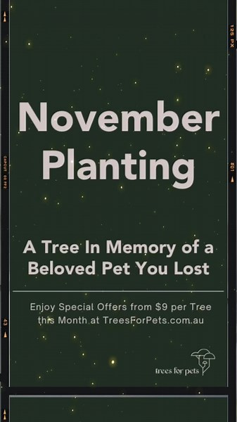 Plant Pet Memorial Trees to Honor Your Beloved Pets