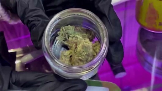 Cannabis stocks surge on report Trump seeks to ease restrictions