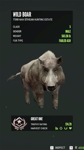 G1 Fabled Ash Boar vs BIG IRON 💥 | COTW