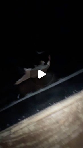 J-Bizzle on Instagram: "A glitch in the matrix . . #blooper #flyingsquirrel #woodward #flight #comedy #parkour #action #gymnastics #backflip #skit"