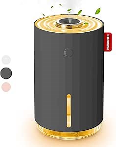 Small Humidifier, USB Personal Desktop Humidifiers, Car Humidifier, Mini Humidifier for Plants Bedroom Office, Auto Shut Off Whisper-Quiet Operation, Two Spray Modes(Grey)