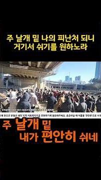 [한국인 성도들이 부르는 찬송] 찬송가 419장 주 날개 밑 내가 편안히 쉬네 │ 불안한 시대에 필요한 찬송 #숏츠찬송가 #은혜찬송가
