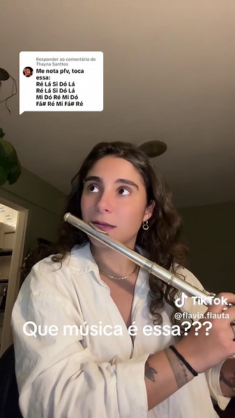 Desvendando a Música com Flauta Transversal