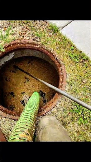 Grease Trap Cleaning #plumbing #plumbingtime #pov #plumber #webbselect #cleaning #diy