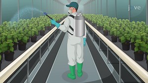 Video: Misurazione della portata dei tubi: risoluzione dei problemi