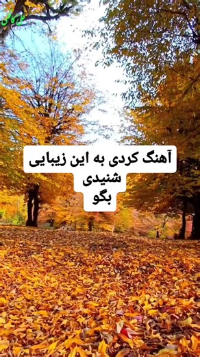 ‎اهنگ های نوستالژی | old music‎ on Instagram‎: "آهنگ های کردی و ترکی همیشه دلنشین و زیبا هستن#کردی #عشق❤️ #کردستان_قصرشیرین_کرمانشاه_جوانرود_پاوه_قروه_سنندج_کامیاران_بانه_مریوان_مهاباد_سردشت_سرپل_ذهاب_کرند_گیلانغرب_ایلام_مهران_کنگاور_بیستون_صحنه_شاباد_غرب_ا #عاشقی"‎