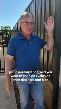 Dividing Fences Law Explained | Quick Guide