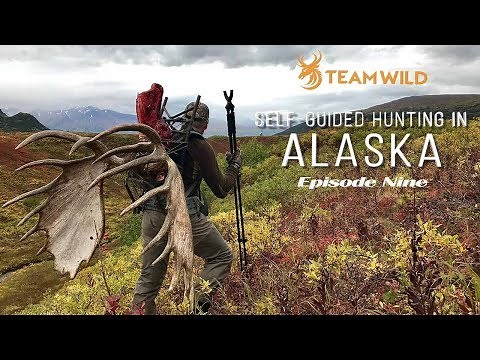 Self-guided Moose & Caribou Hunting in Alaska: Episode 9 - Epic Alaskan Moose Hunt