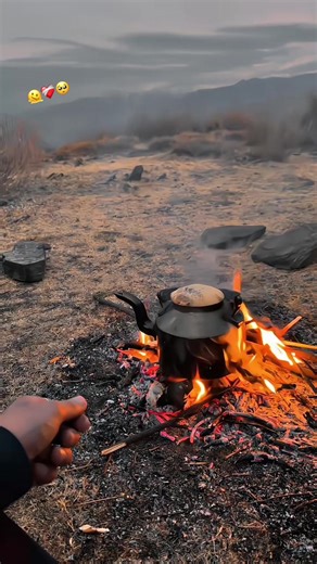 Understanding Goldendoodle Characteristics and Popularity