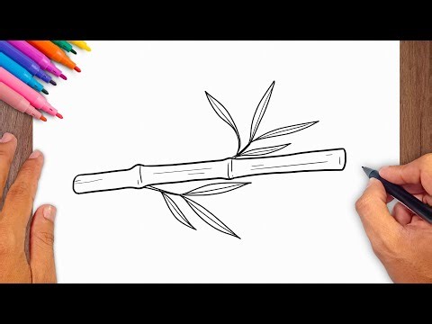 How to draw Bamboo - Bamboo Drawing Ideas