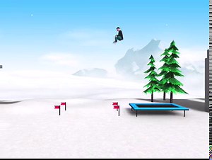 Extreme Flip