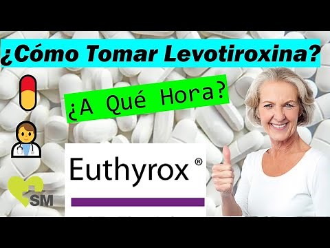 ¿A qué HORA se debe tomar la LEVOTIROXINA − Euthyrox? | 🍽️🥤Interacciones con alimentos y Omeprazol 💊