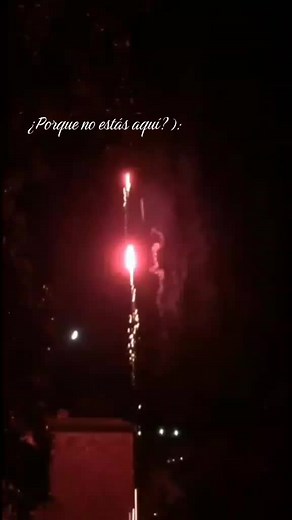 Stunning Fireworks Display in Night Sky