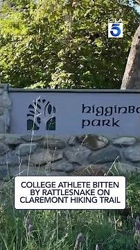 College athlete bitten by rattlesnake on Claremont hiking trail