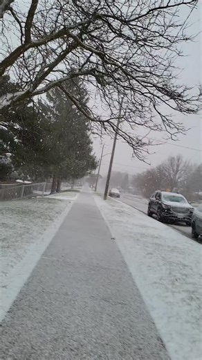 EL MIEMBRO (@donkan008)’s videos with Locked Up - Akon