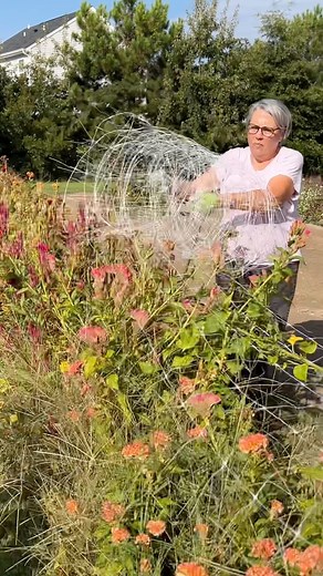 14K views · 1.5K reactions | Sharing another flower farming mess....