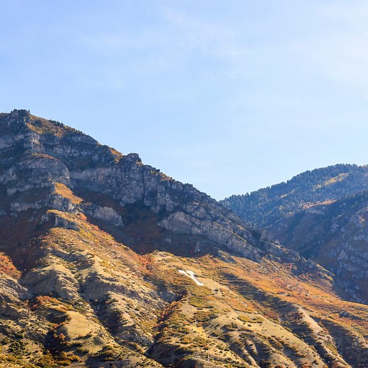 Overview of External Analysis