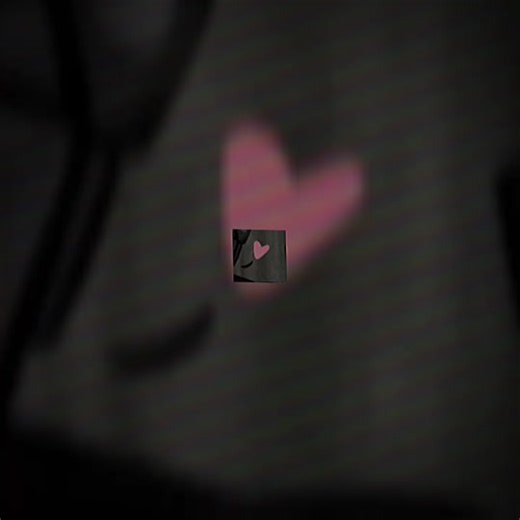 Camerawoman Perspectives: Behind the Scenes in Japan