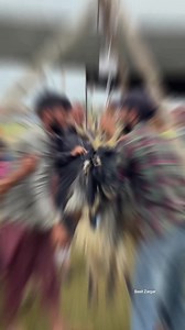 8.4K views · 193 reactions | Kashmiris prepare for Eid al-Adha celebrations; visit markets to buy livestock | Kashmir city | Facebook