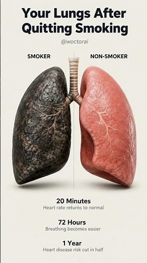 Smoker's Lungs vs Non-Smoker's Lungs