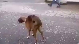 Like this? 😂 | SmartInformation