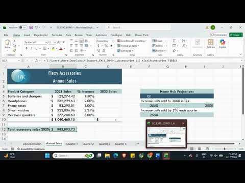 Excel 2019 | Module 5: End of Module Project 1 Flexy Wireless Communications #shellycashman