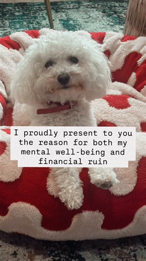 My Valentine pup! 🐶♥️ #designersfordogs | KRISTI HOPPER DESIGNS