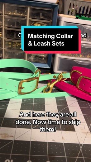 Nothing better than matching sets! They’re my favorite to make. 🩷🩵 #biothane #biothanedoggear #doggear #dogcollar #dogleash #dogtraining #dogsports