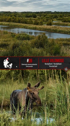 DÄNEMARK SERIE Beeindruckende Naturwunder #dänemark #denmark #nature #natur #reisen #travel