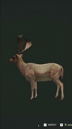 I FOUND THE NEW LEUCISTIC FALLOW?! 😳| TheHunter Call of The Wild