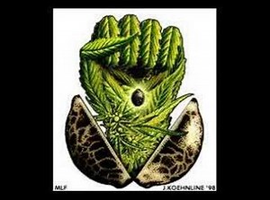 The Reefer Song Lyrics by Cheech And Chong