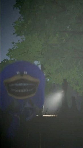 SONIC IRL IS DEADLY!!