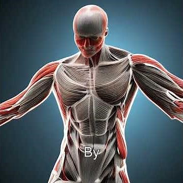 Unveiling the Future: Biohybrid Robots 2025