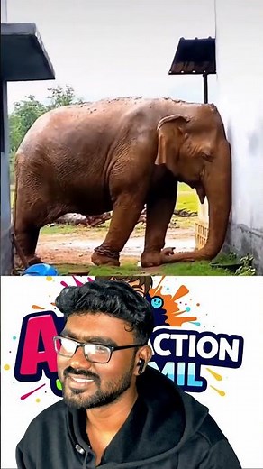 Funny Reaction YouTube Shorts 😂 | Cute Comedy Shorts | Best Funny YouTube Shorts 2026