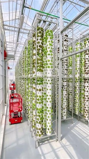 Scalable Indoor Farming with Rotating Hydroponic Towers #agritech
