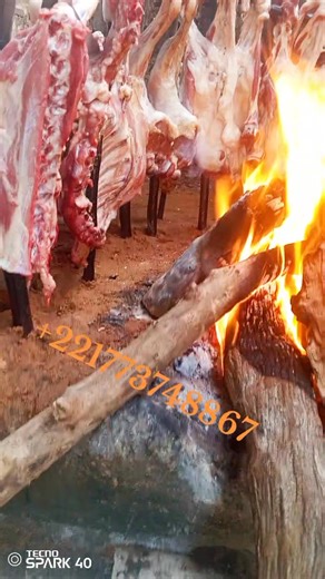 Pour vos commandes tél+221773748867 livraison rapide À Dakar Sénégal | Dibi Thiette Tedoungal Foutatoro | Facebook