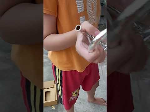 Yamaha Trumpet Xeno 8335GS (Unboxing)