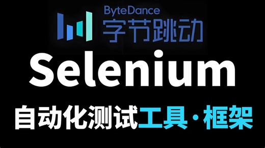 【Selenium自动化测试】Selenium快速入门，工具 框架 实战一套通关！
