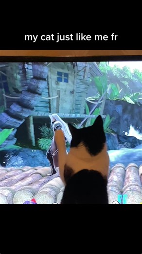 Sephiroth Cat's Funny Reaction to Final Fantasy 7