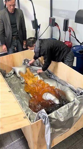 Mastering the Art of Foam Expansion.