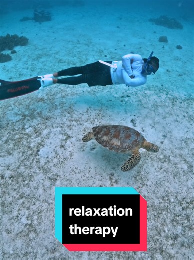 How to Relax Like Mr. Turtle: A Guide to Relaxation Therapy